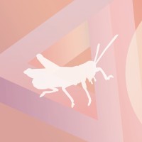 Sauterelle Design inc. Logo