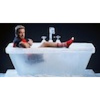 Hamilton Ice Sculptors Logo