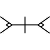 Per Vices Corporation Logo