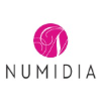 NUMIDIA BV Logo