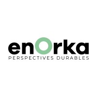EnOrkaConseil Logo