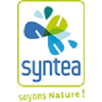 SYNTEA Logo