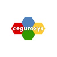 Ceguroxys Limited Logo