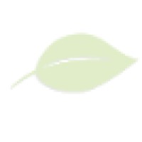 P & A Urban Forestry Consulting Ltd. Logo