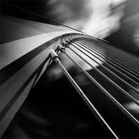 Vangoo Photography Logo