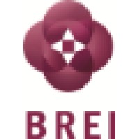 BREI s.a.l. (Byblos Real Estate Investment) Logo