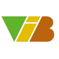 VIB Consulting Logo