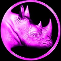 Rinocerose-Consulting Logo