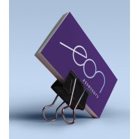 EON ASSESSORS, S.L.P. Logo