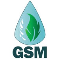 GSM Logo