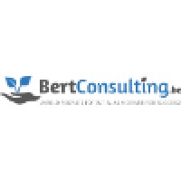 BertConsulting.be Logo
