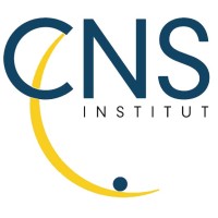 CNS Institut - International marketing survey company Logo