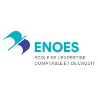 ENOES - Entreprise Logo