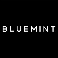 BLUEMINT Logo