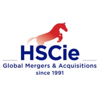 Hübner Schlösser & Cie - Global M&A Logo