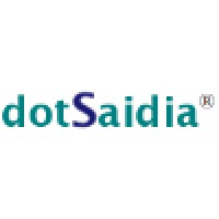 DotSaidia Systems LLC Logo