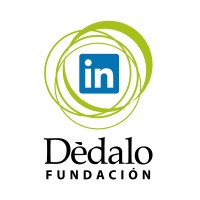 Fundación Dédalo Logo