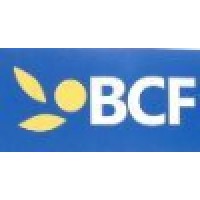 Bridge Credit Finance Company Ltd. Logo