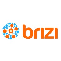 Brizi Inc. Logo