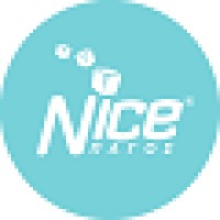 NICE ICE Logo
