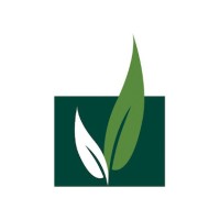 New Growth Group, LLC Logo