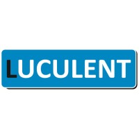 Lesego Building Solutions Logo