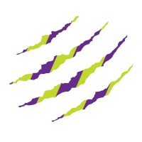 Striped Leopard Accountancy Logo