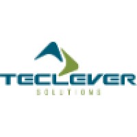 TECLEVER SOLUTIONS PVT. LTD Logo