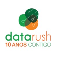 DataRush IT Services Logo