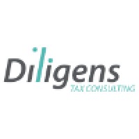 DILIGENS TAX CONSULTING, SL Logo