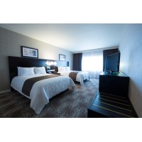 DoubleTree by Hilton Binghamton Logo