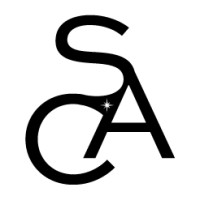 Savvy Creative Agency Logo