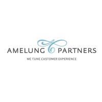 Amelung & Partners Logo