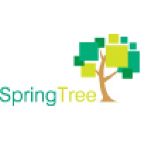 SpringTree B.V. Logo