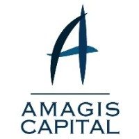 Amagis Capital: Fin-Tech, Financial Advisory, Cloud & Cybersecurity Logo