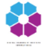 Digital Leadership Institute Logo