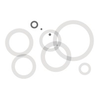 The Danish Foreign Policy Society Logo
