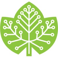 Cybervine IT Solutions Logo