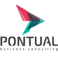 Consultoria Pontual Logo