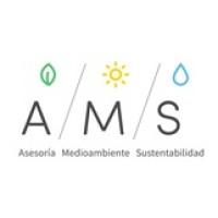 AMS Consultores Logo
