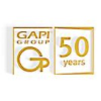 Gapi Ltd Logo