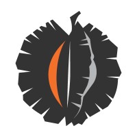 Conflict Dynamics Logo