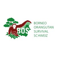 Borneo Orangutan Survival (BOS) Schweiz Logo