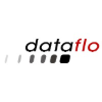Dataflo Logo