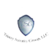 Trinity Security Group Logo