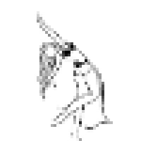 Danmarks Mavedanserskole Logo