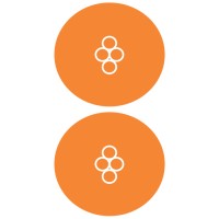 Biosystems Healthcare Logo