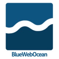 BlueWebOcean Logo