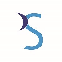 BS Srl - Business Solution Logo
