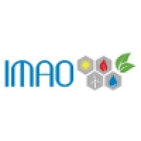 IMAO group Logo